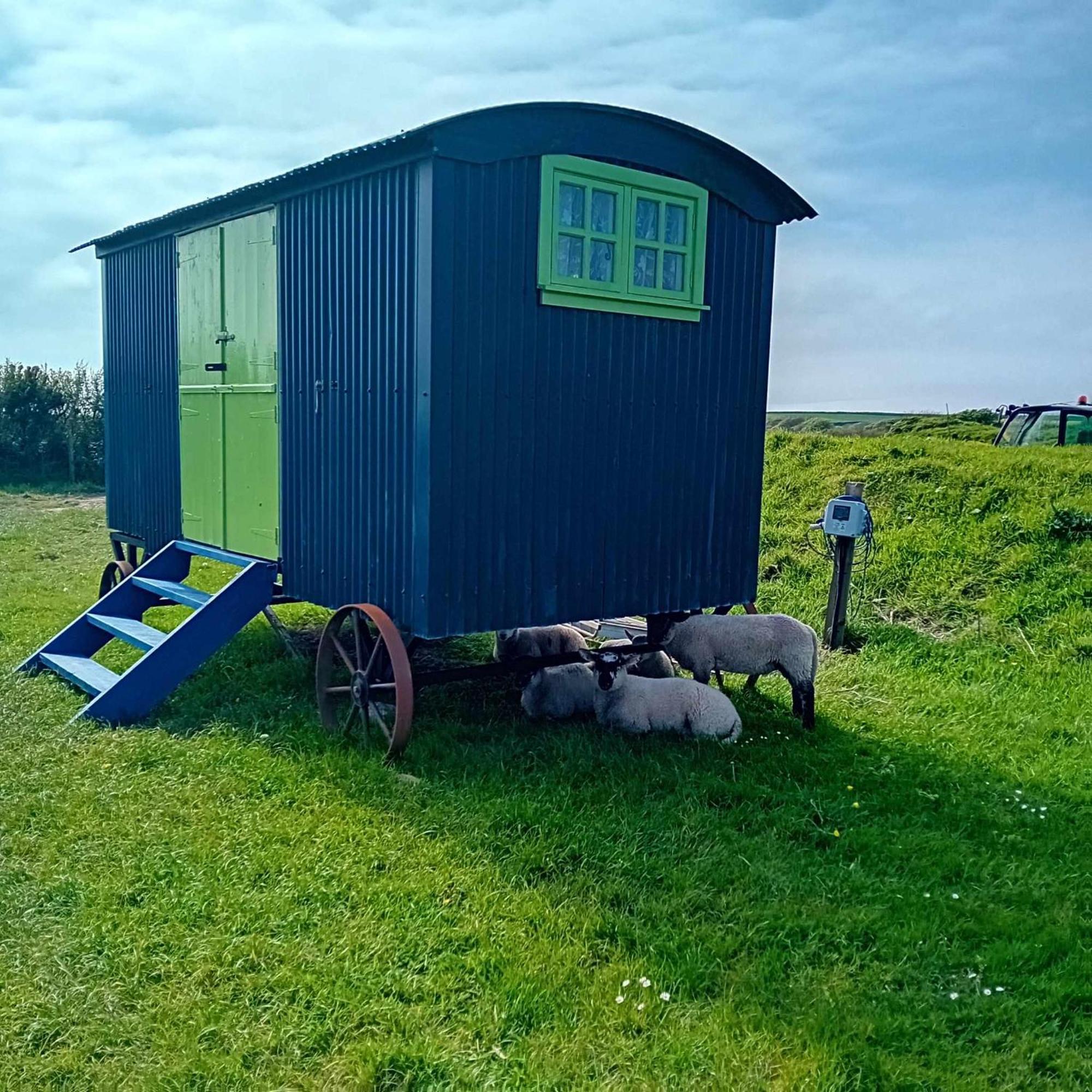 Coast Path Camping Saint Ishmaels  Exterior foto